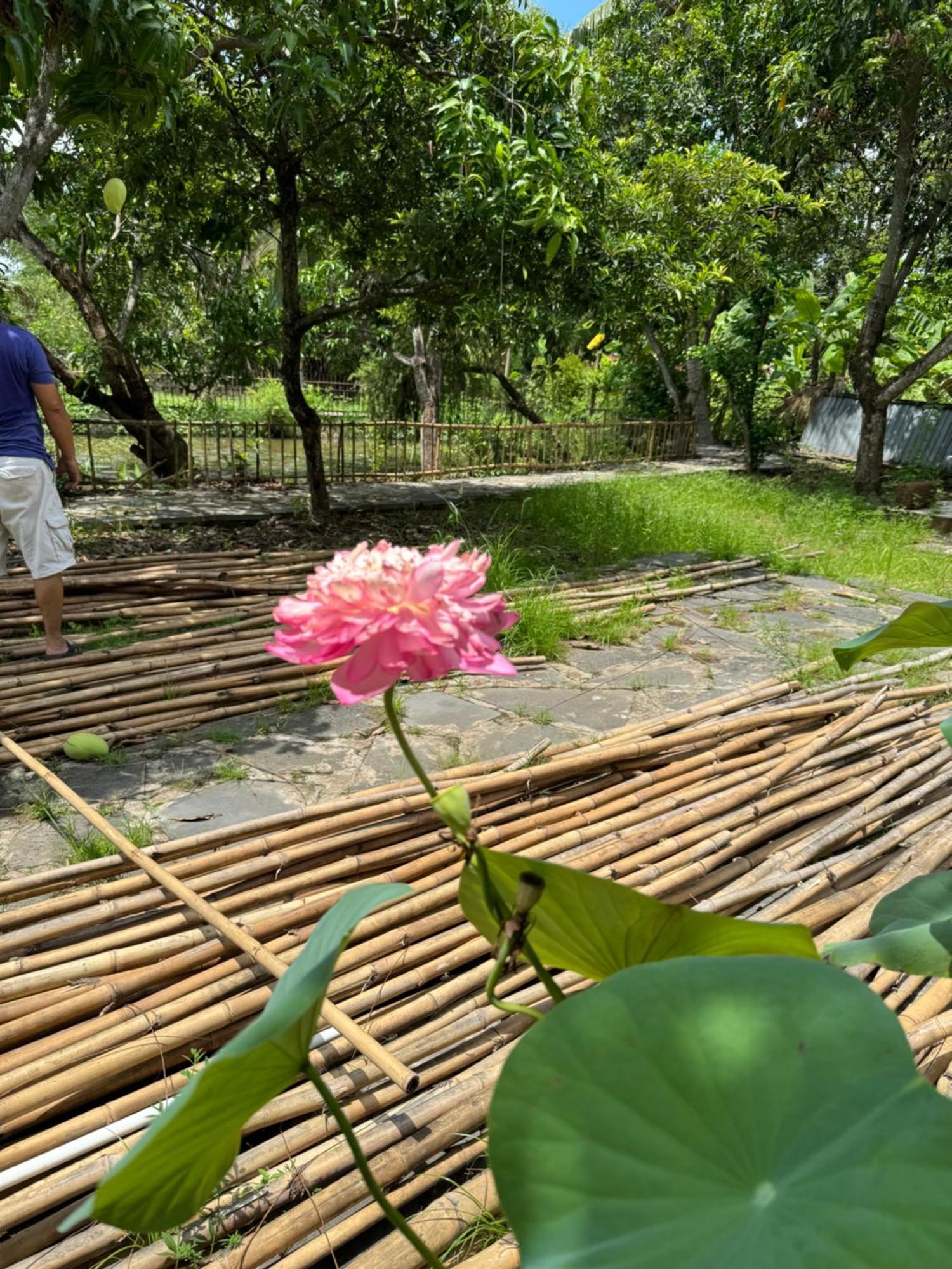 Bed & Breakfast Ha Long *